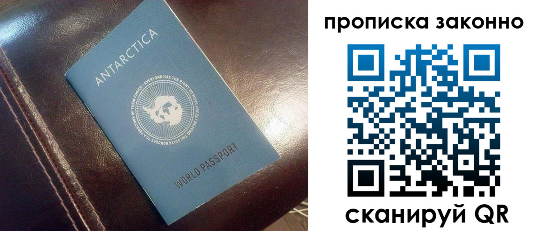 временная регистрация в Химках